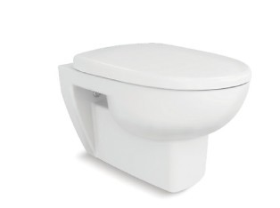 Kohler wall hang out toliet